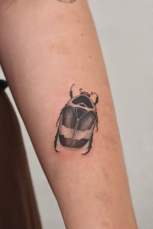 Zvířata Tattoo