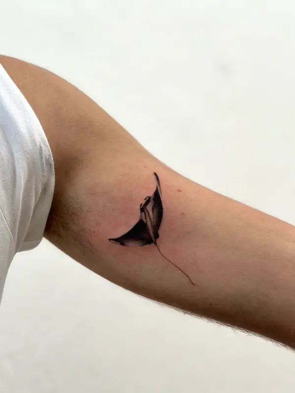 Zvířata Tattoo