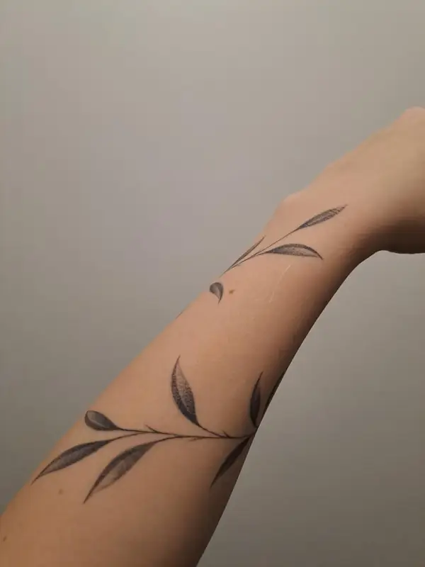 Zahojené Tattoo