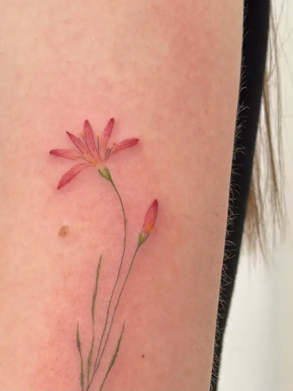 Přírodní Motivy Tattoo